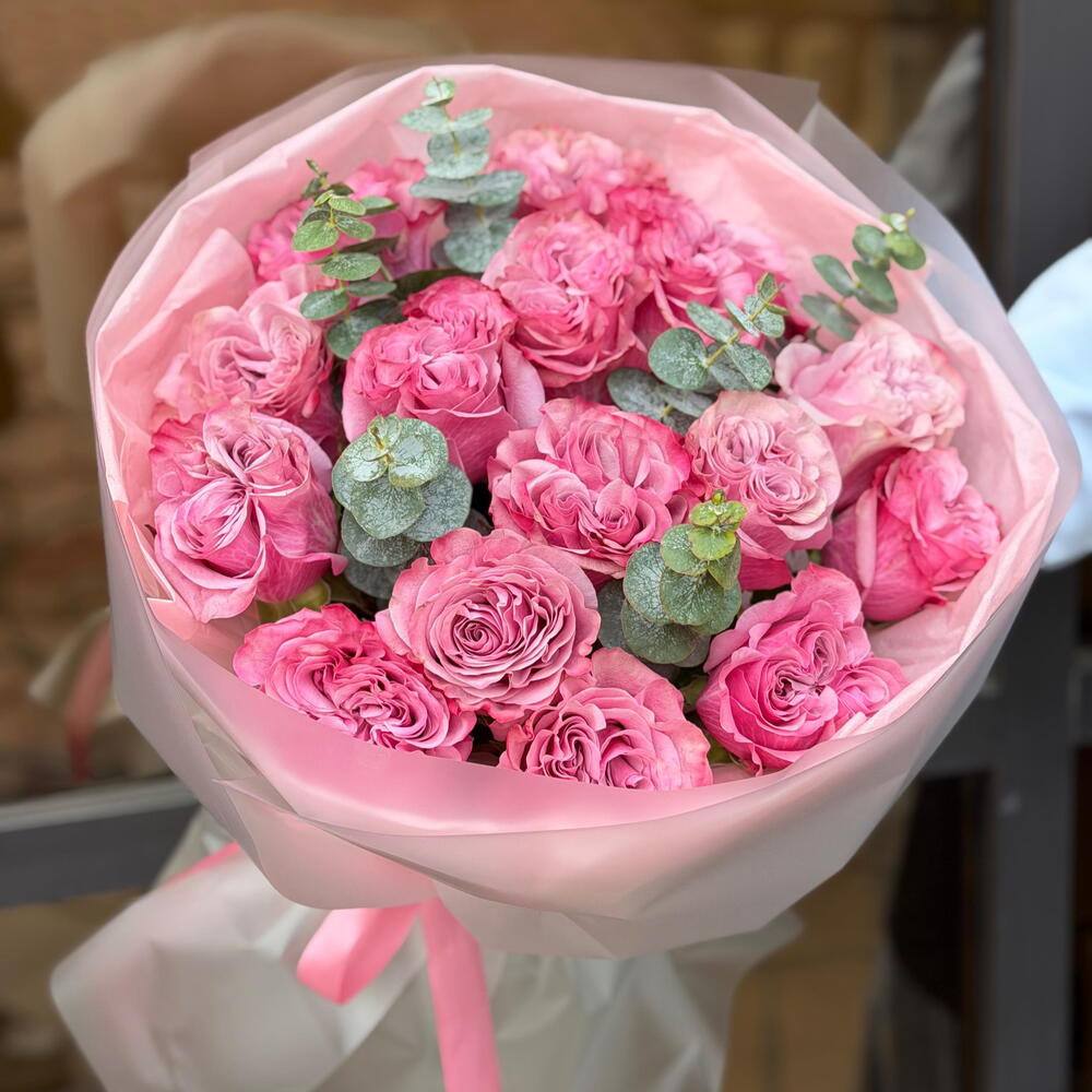 Pink Velvet Dream