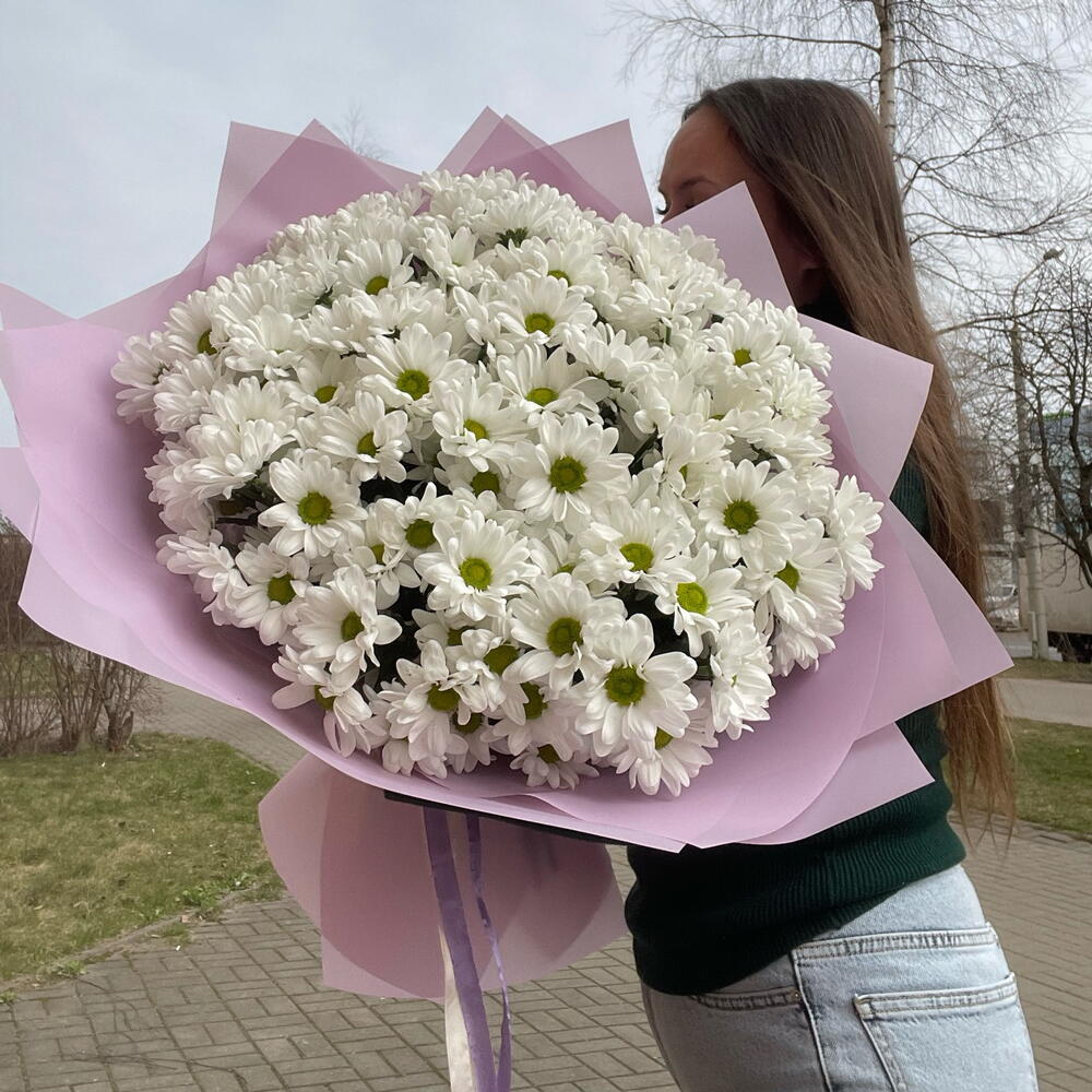 ~151 ромашка