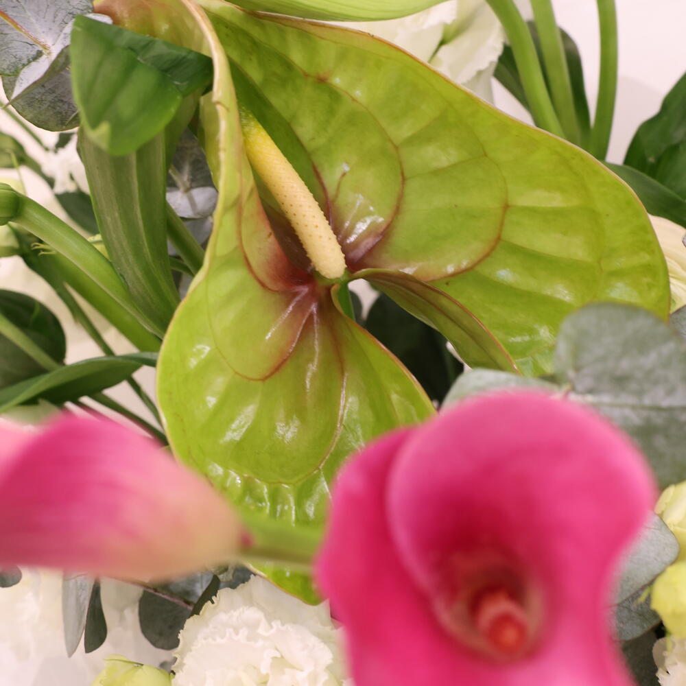 Blush   Green размер XL