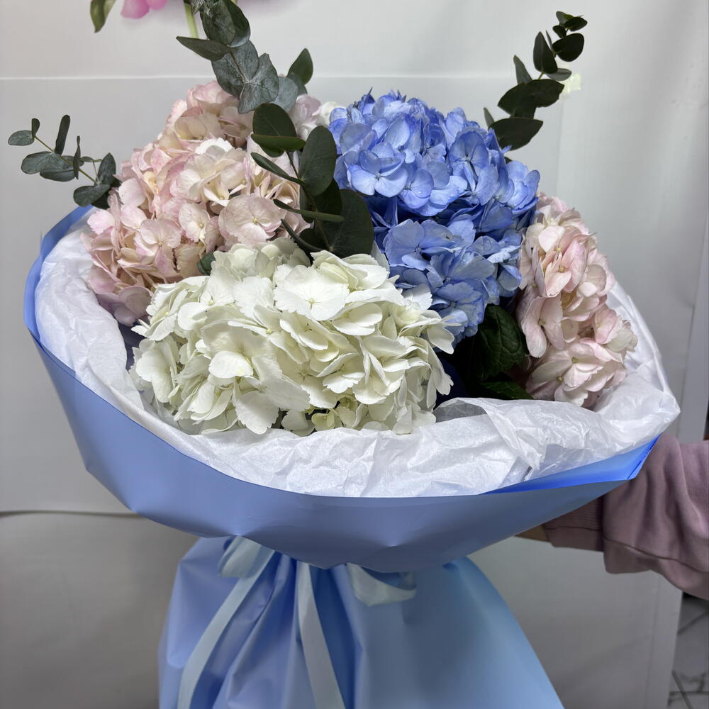 Bouquet of hydrangeas