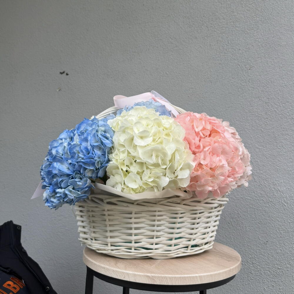 Basket with hydrangea M