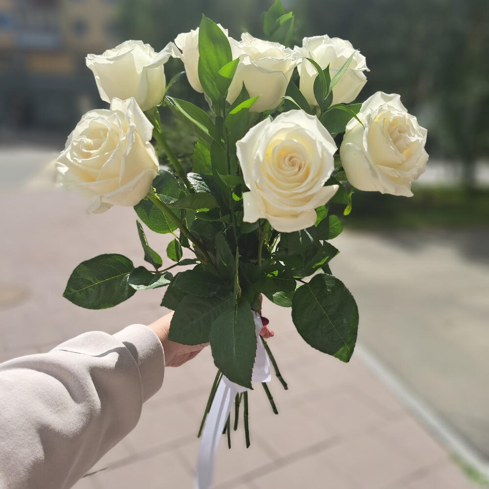 7 белых роз сорта Венделла