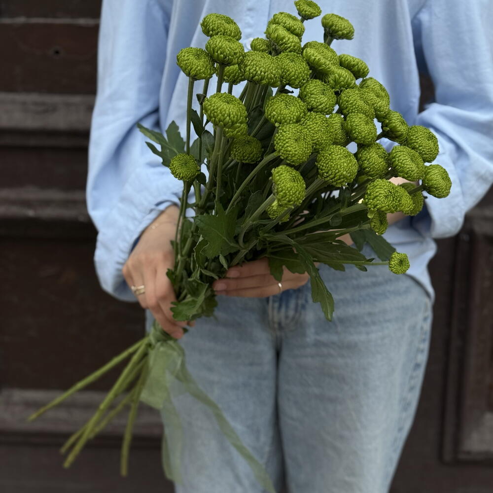 сантини зеленая