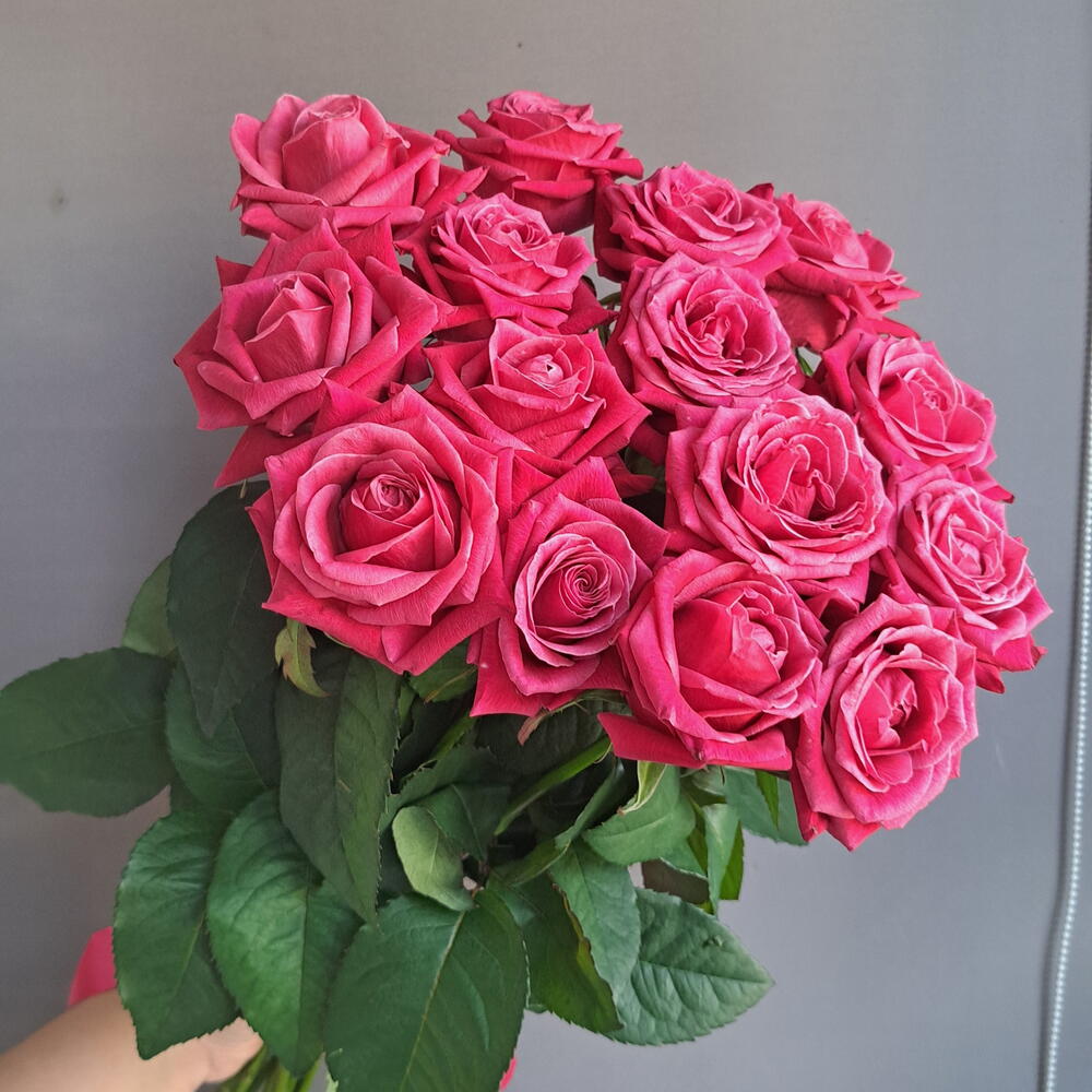 15 малиновых роз