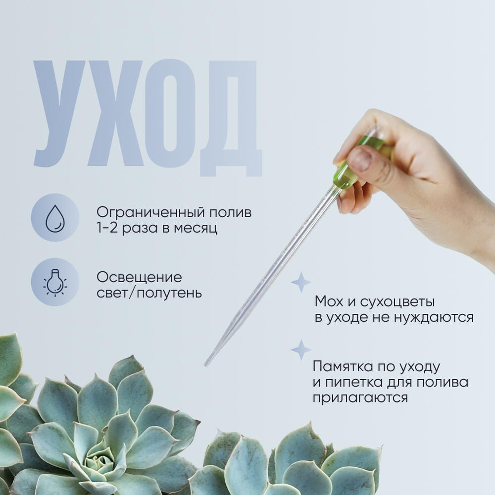 Флорариум с суккулентами «Цветочный берег»