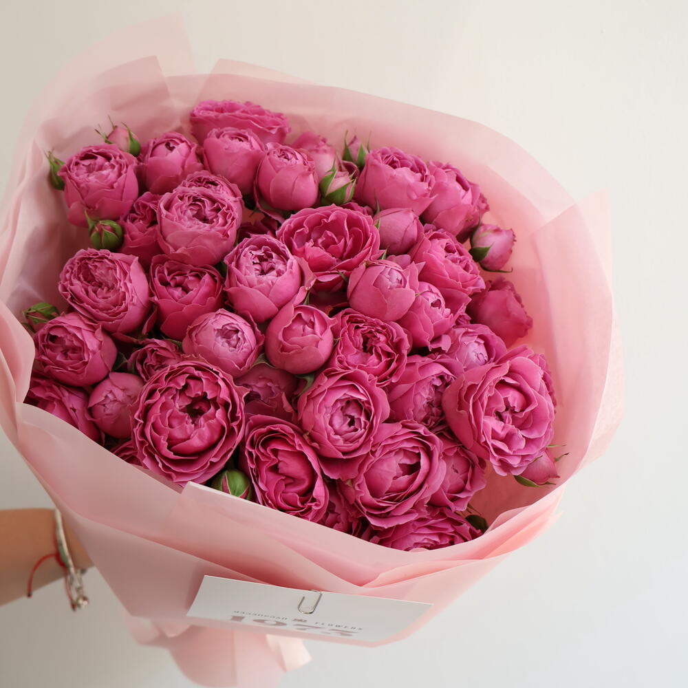 Spray Pink Roses