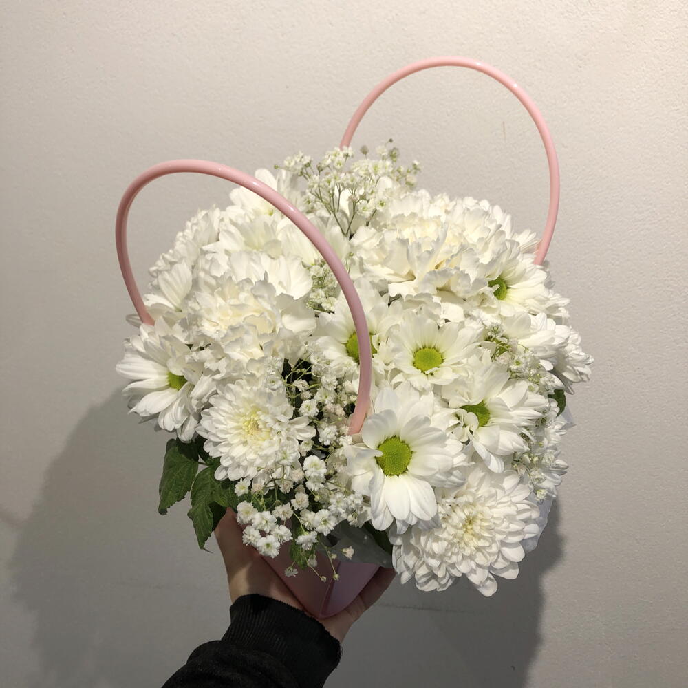 Ромашковый сад