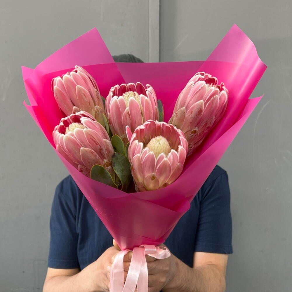 Протея в яркой упаковке 🌺