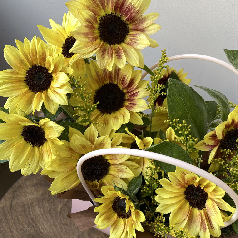 Солнечные подсолнухи 🌻