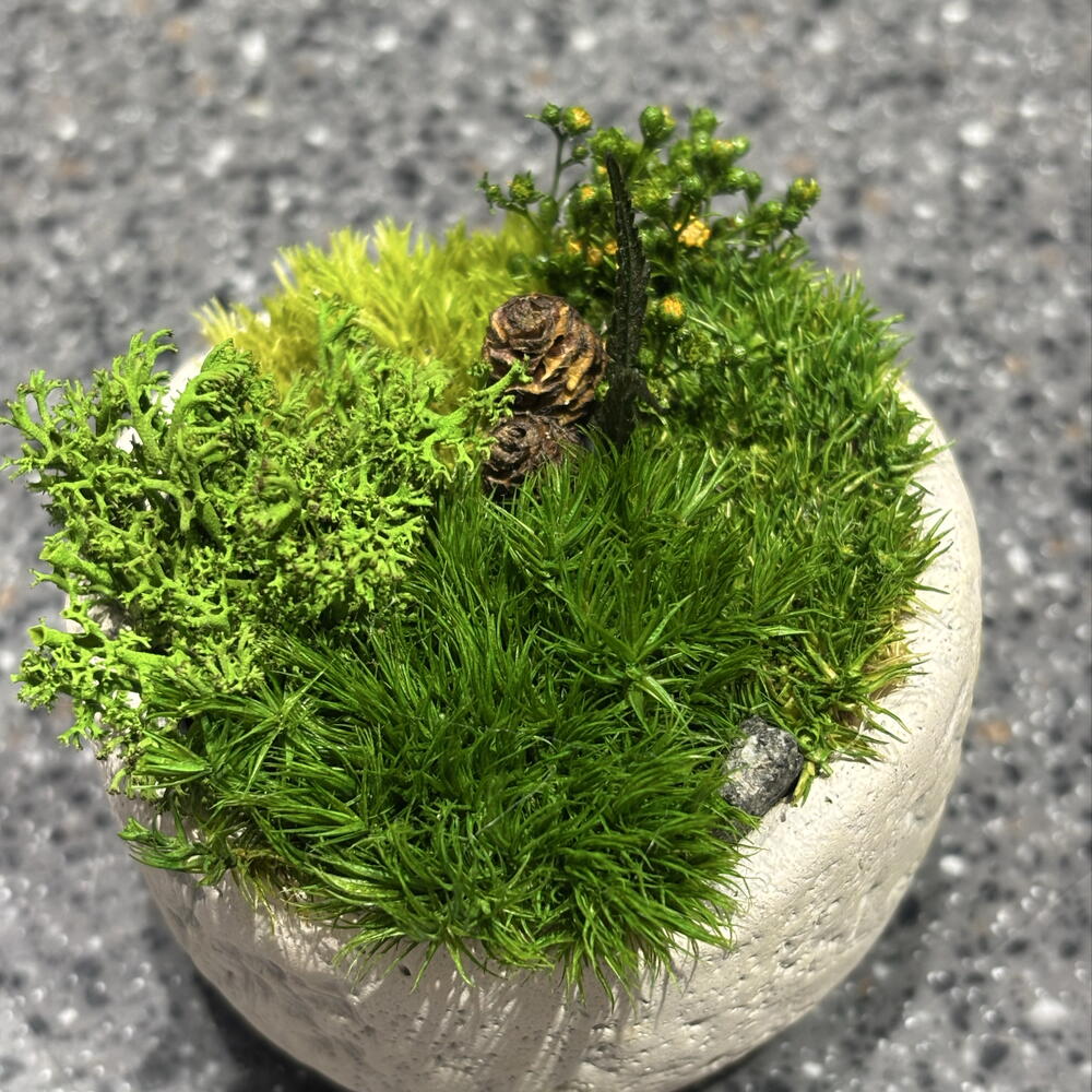 Кусамоно в кашпо🌱