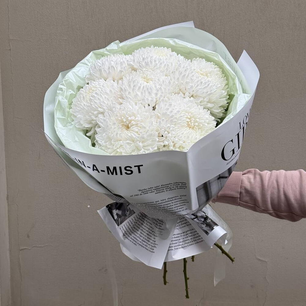 White chrysanthemums bigudi