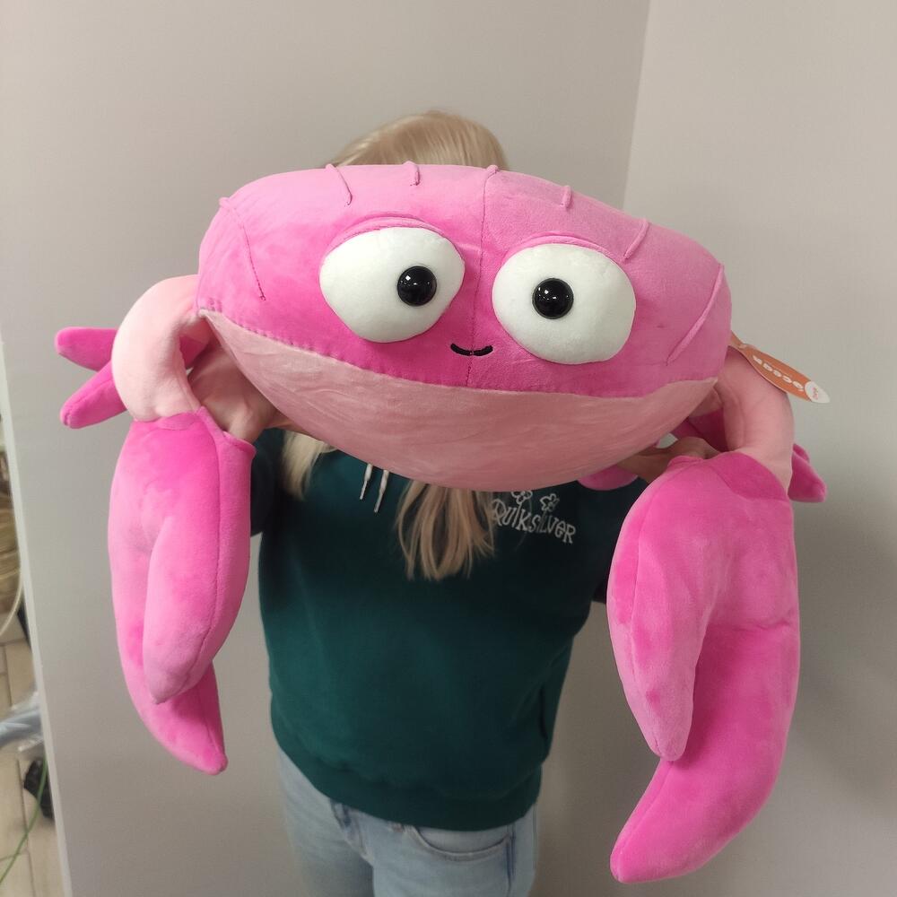 🦀 краб