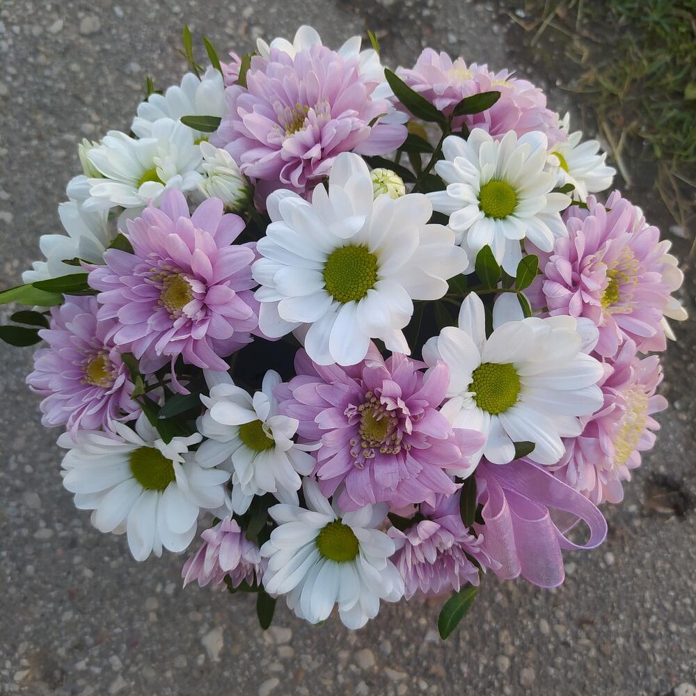 Flores en Caja
