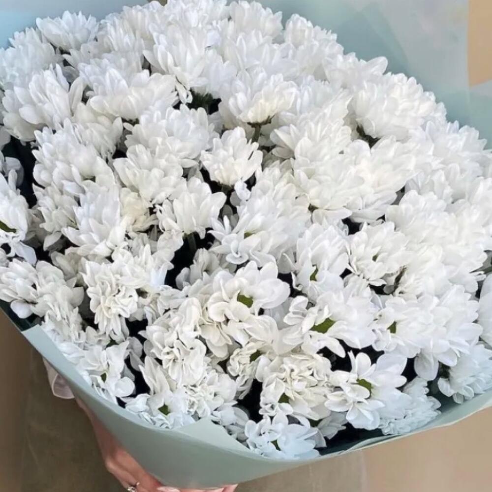 Букет из белой кустовой хризантемы