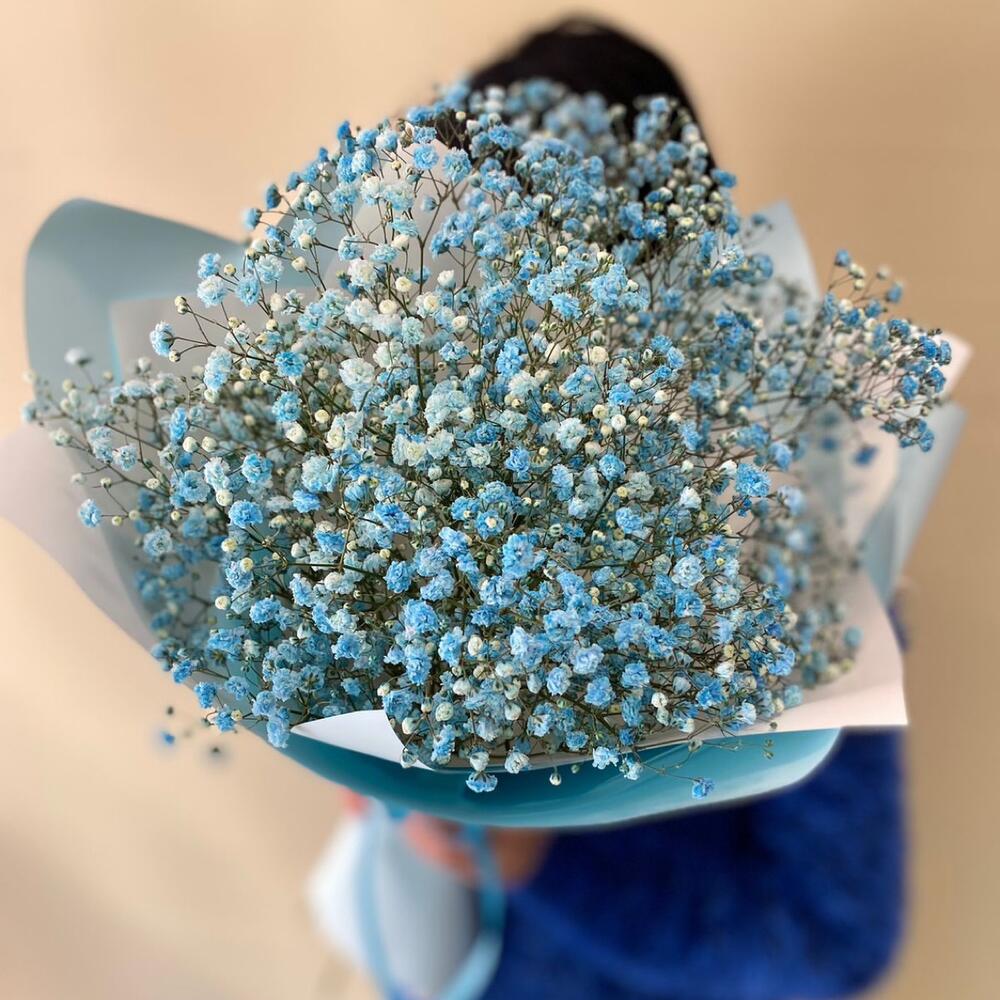 Gypsophila azul en paquete