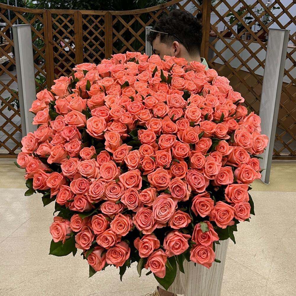 151 РОЗА 😍