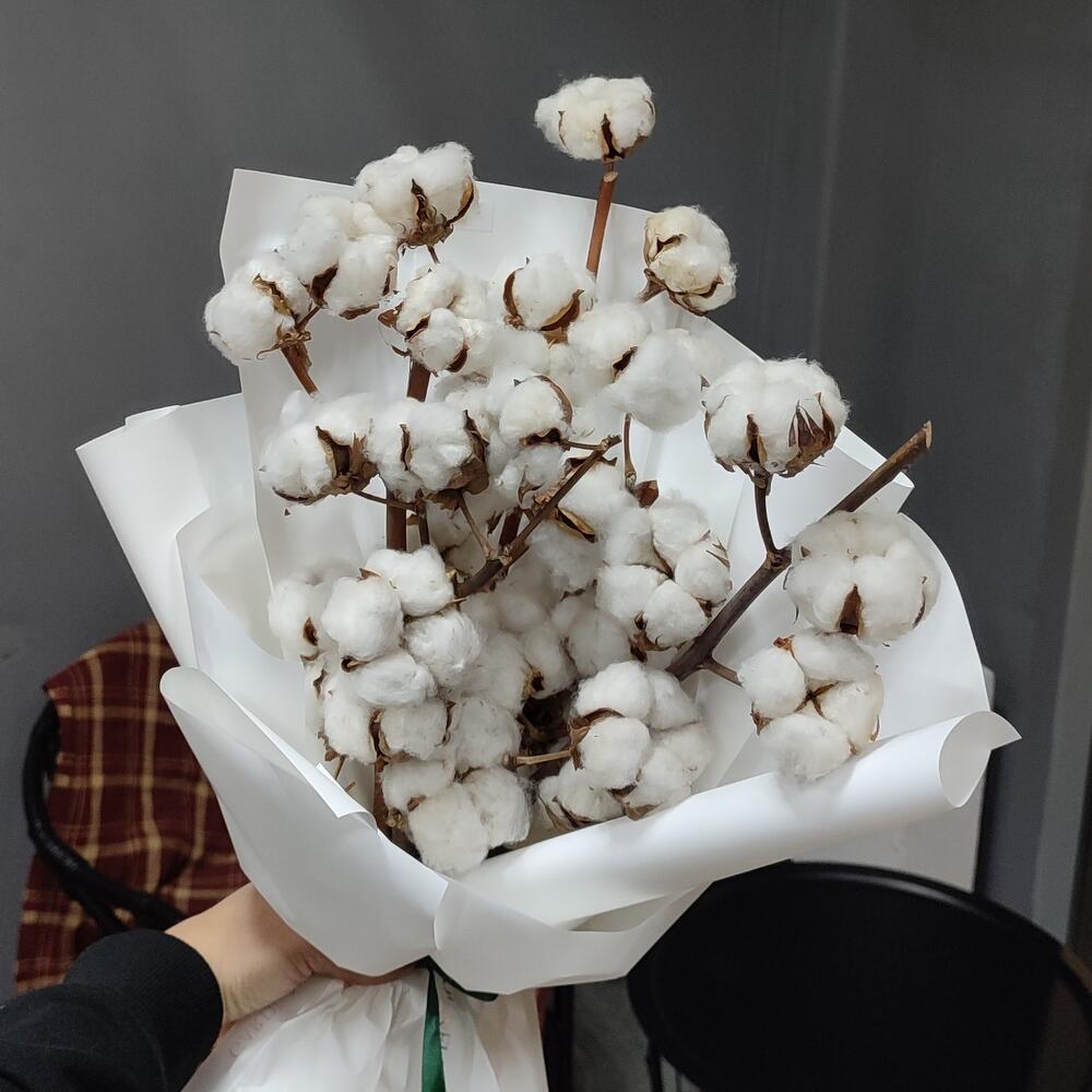 Облачки хлопка