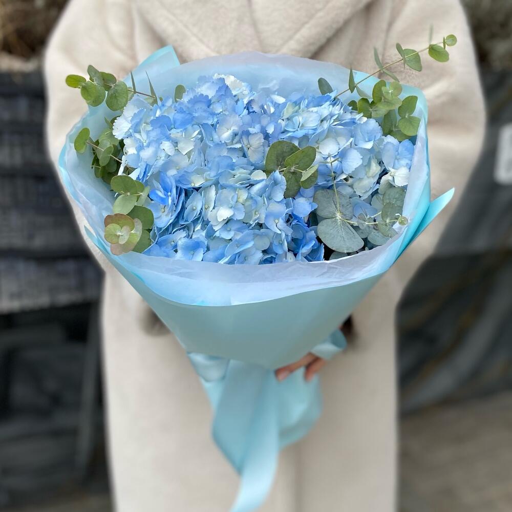 Голубые  гортензии 💙