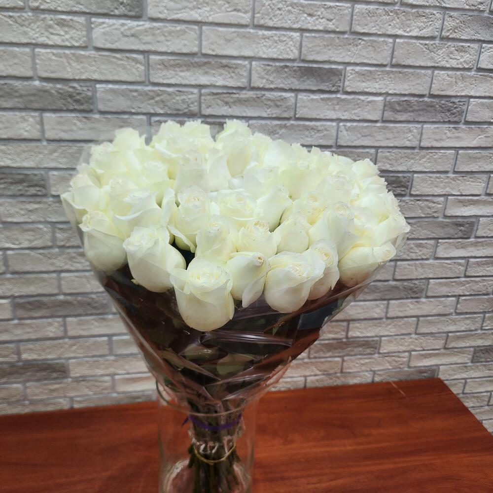 49 Роза Эквадор Прауд
