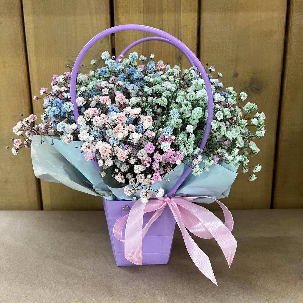 Gypsophila raduzhnaya