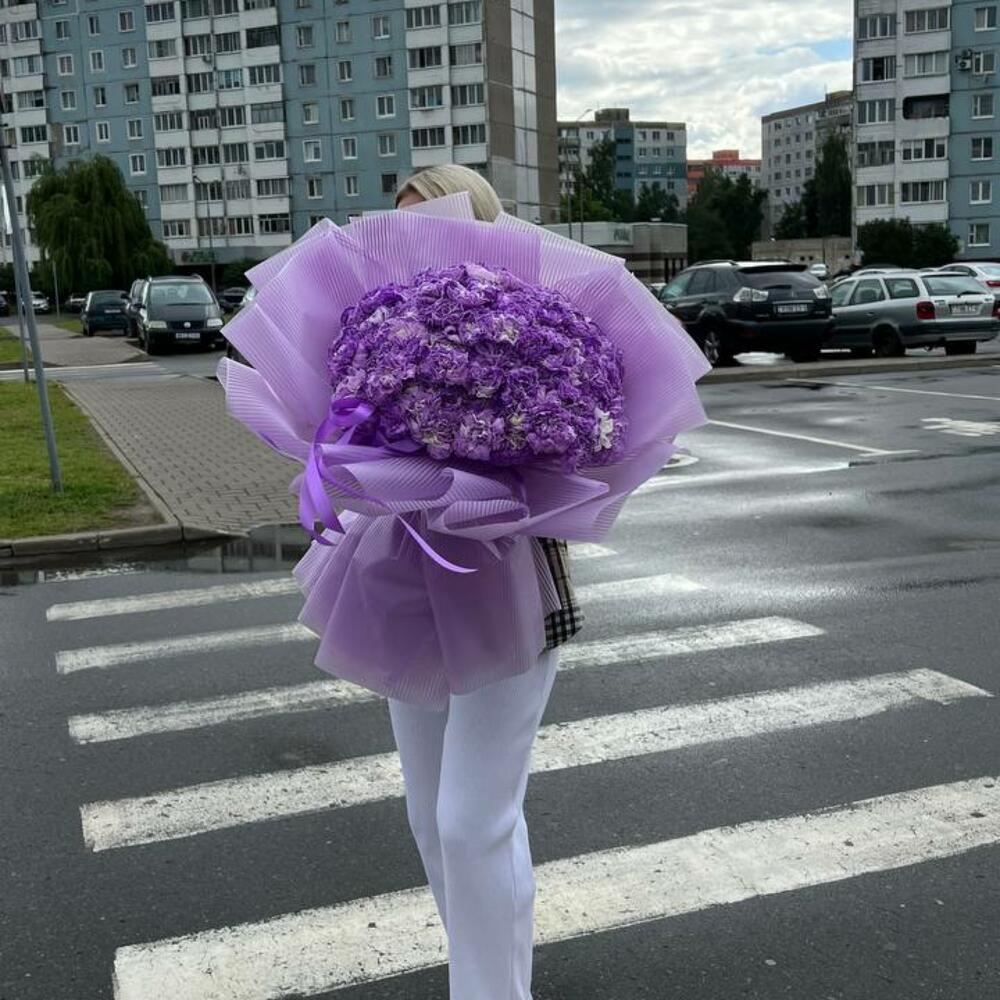 Букет из 101 фиолетового диантуса