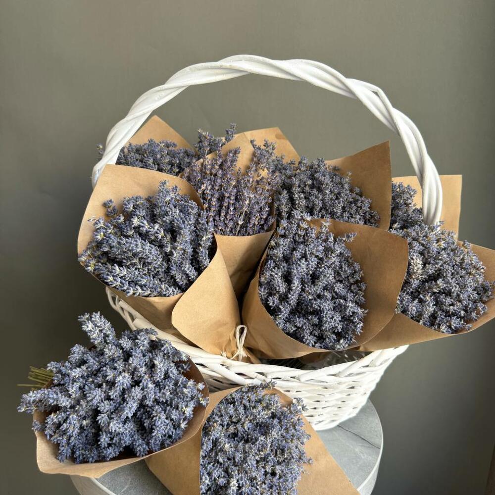 Hortensia y gypsophila