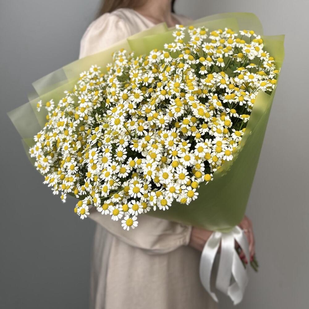 Лесное чудо