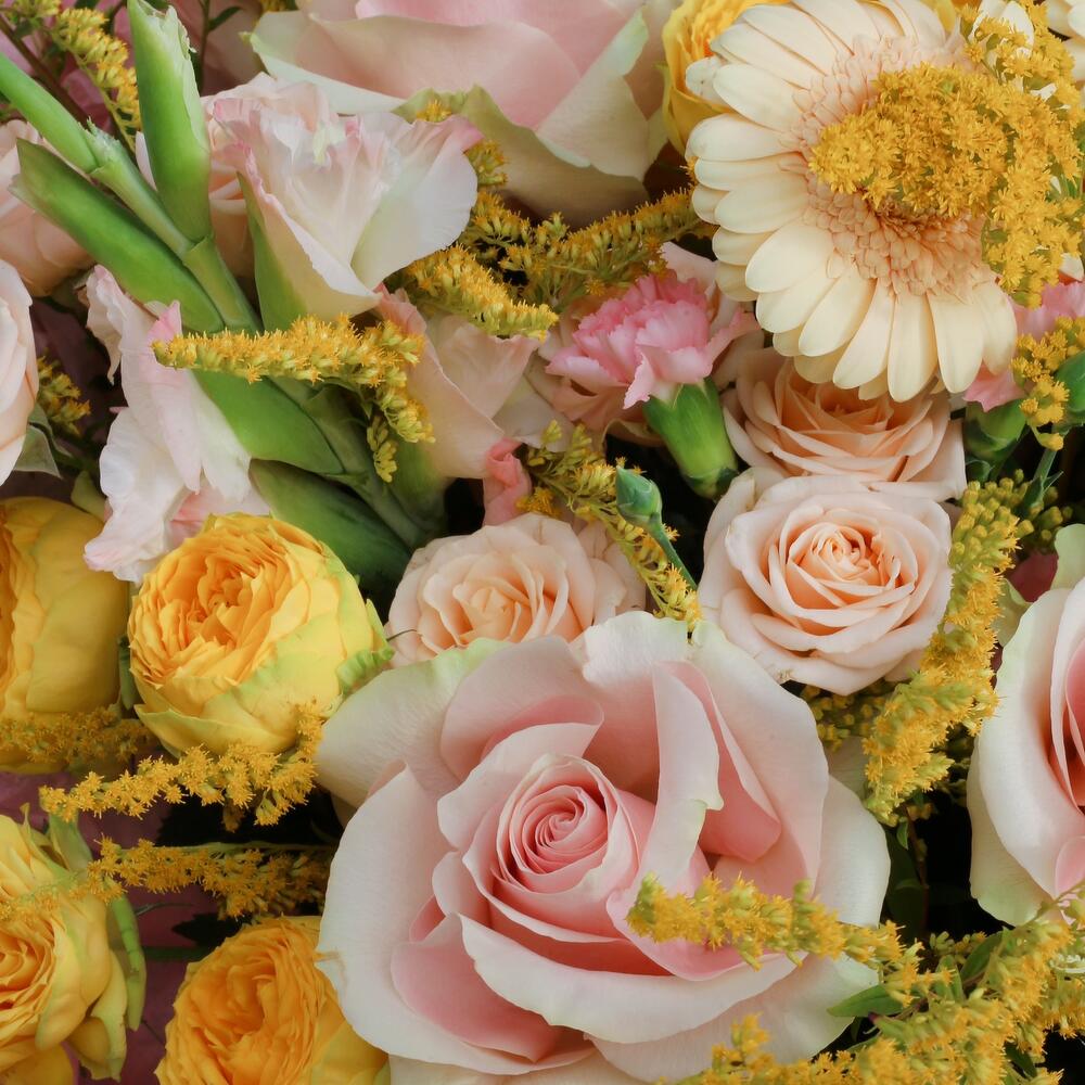Летний бриз