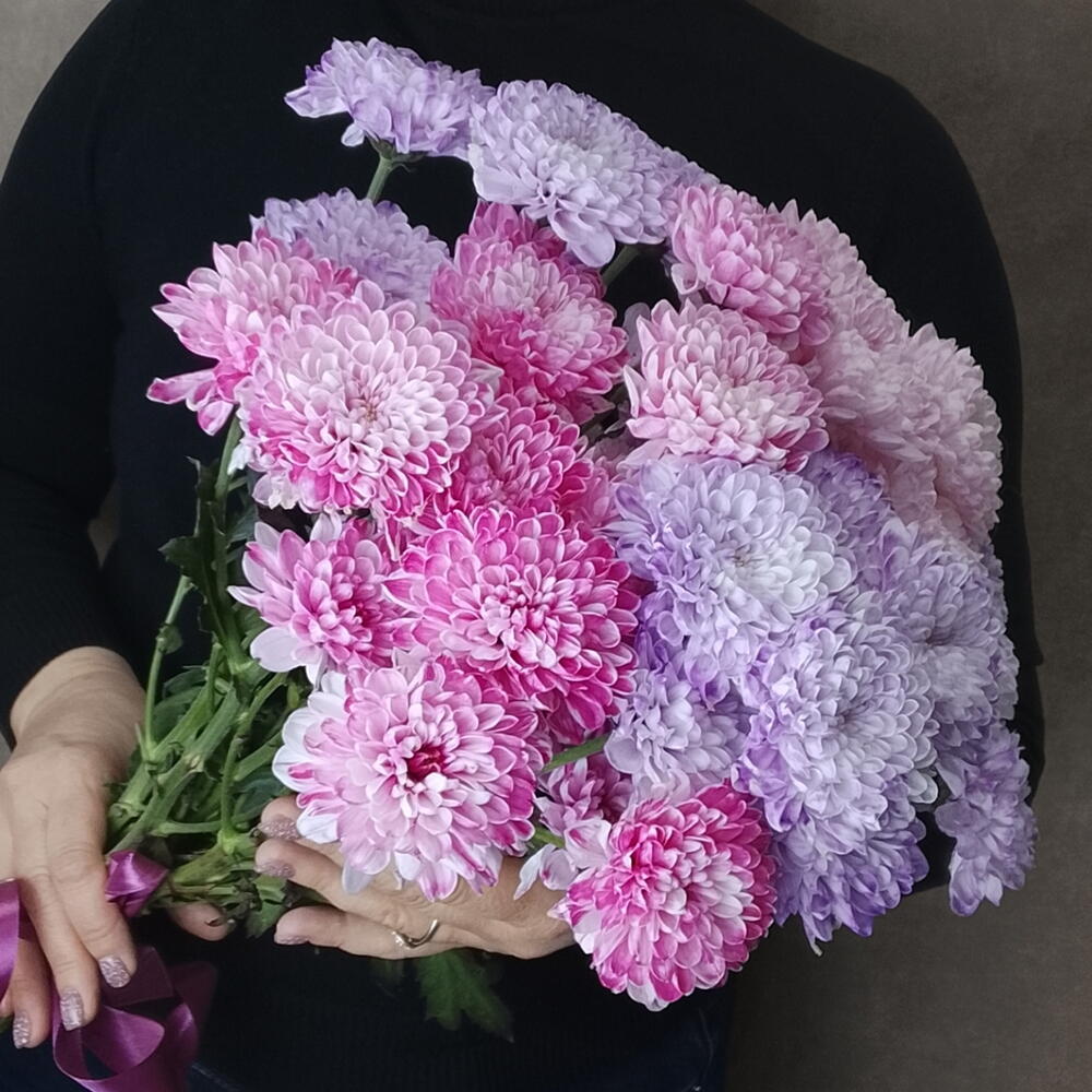 Хризантемы кустовые