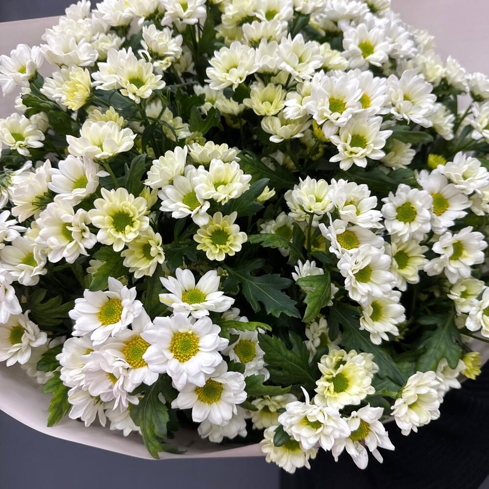 Букет из сантини