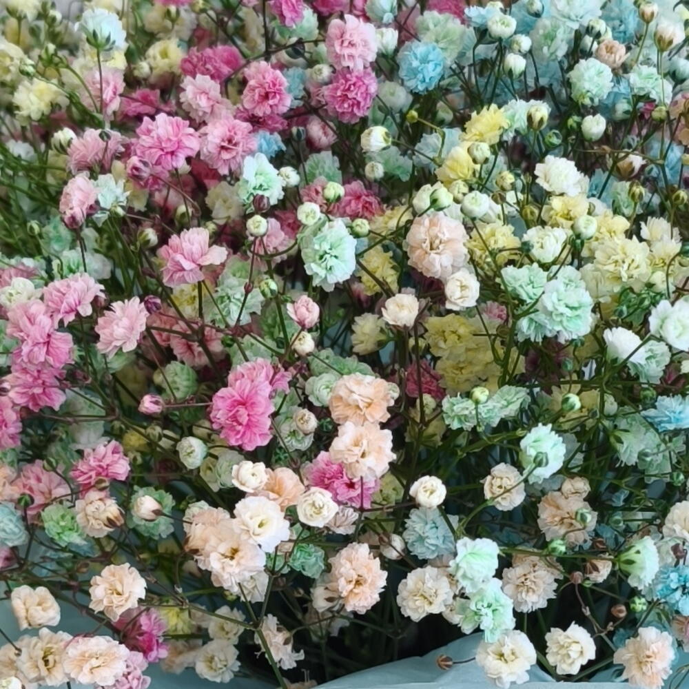 Композиция 204 из гипсофилы