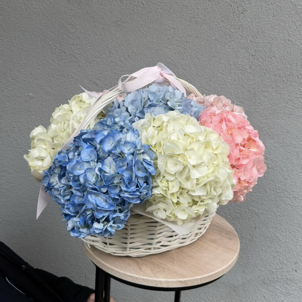 Basket with hydrangea M