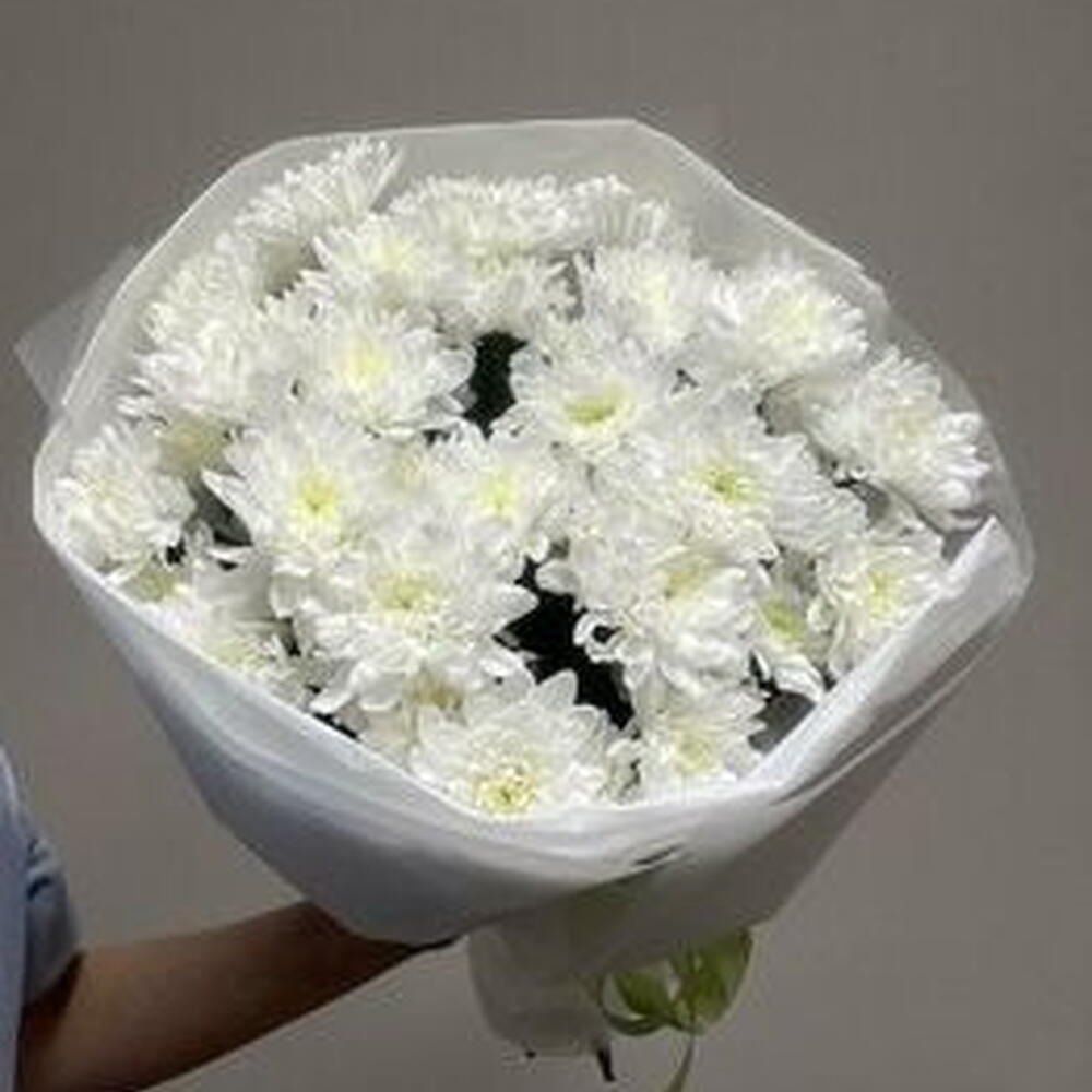 9 кустовых хризантем