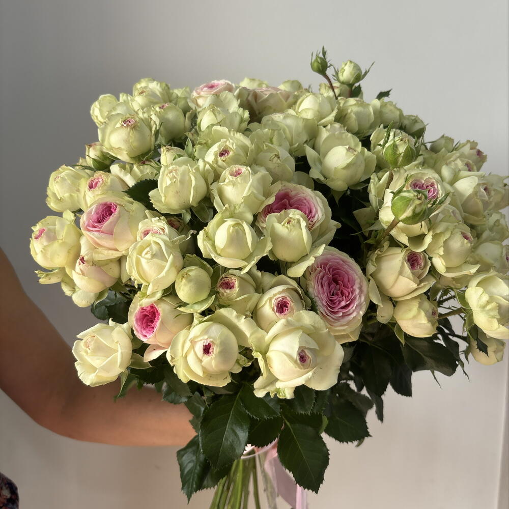 Кустовая 🌸 Роза