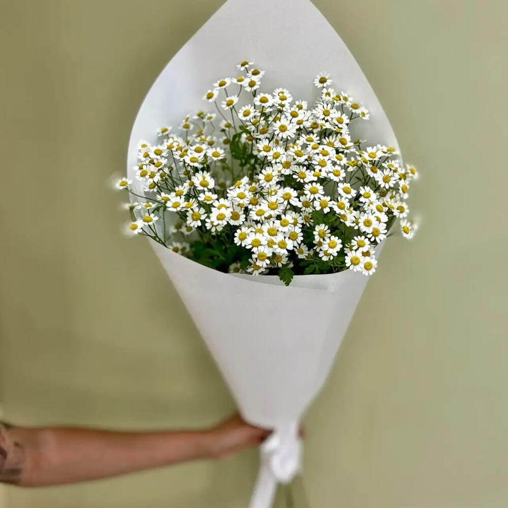 Букет из матрикарии ( ромашка камилла, танацетум) 5 шт