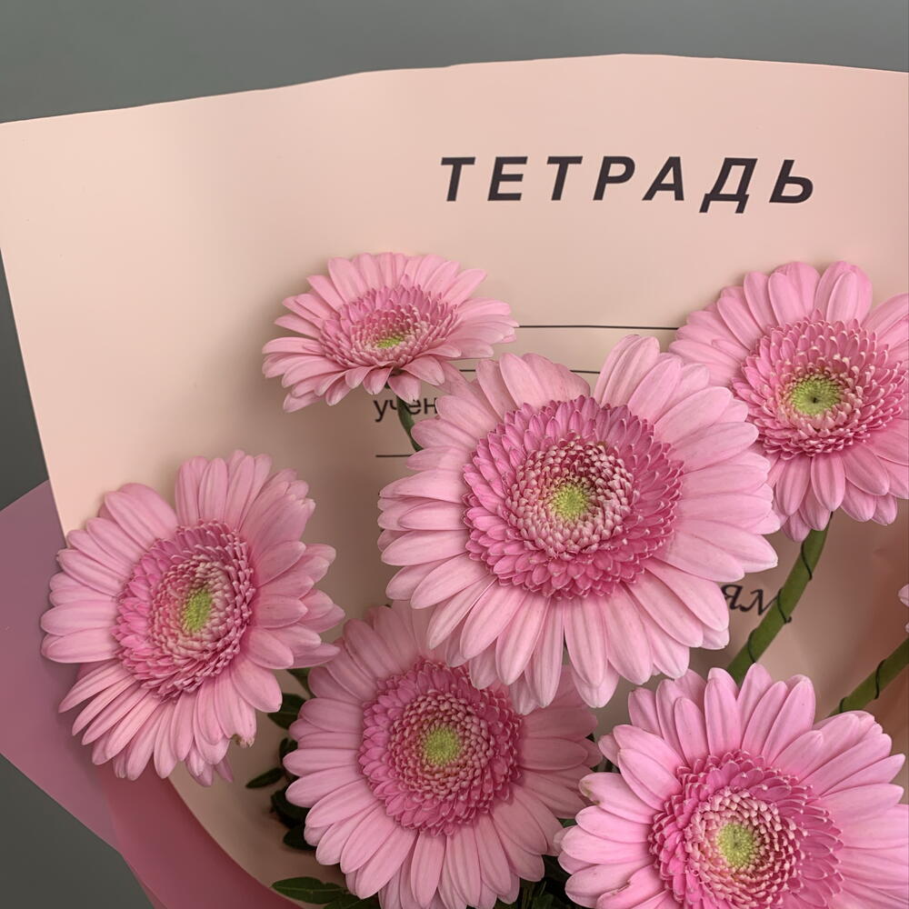 Монобукет из 9 розовых мини Гербер