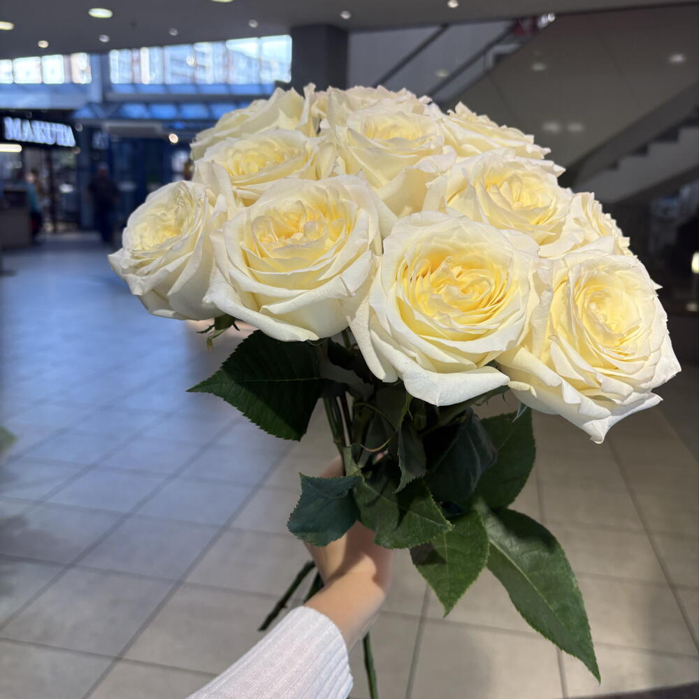 Роза канделайт