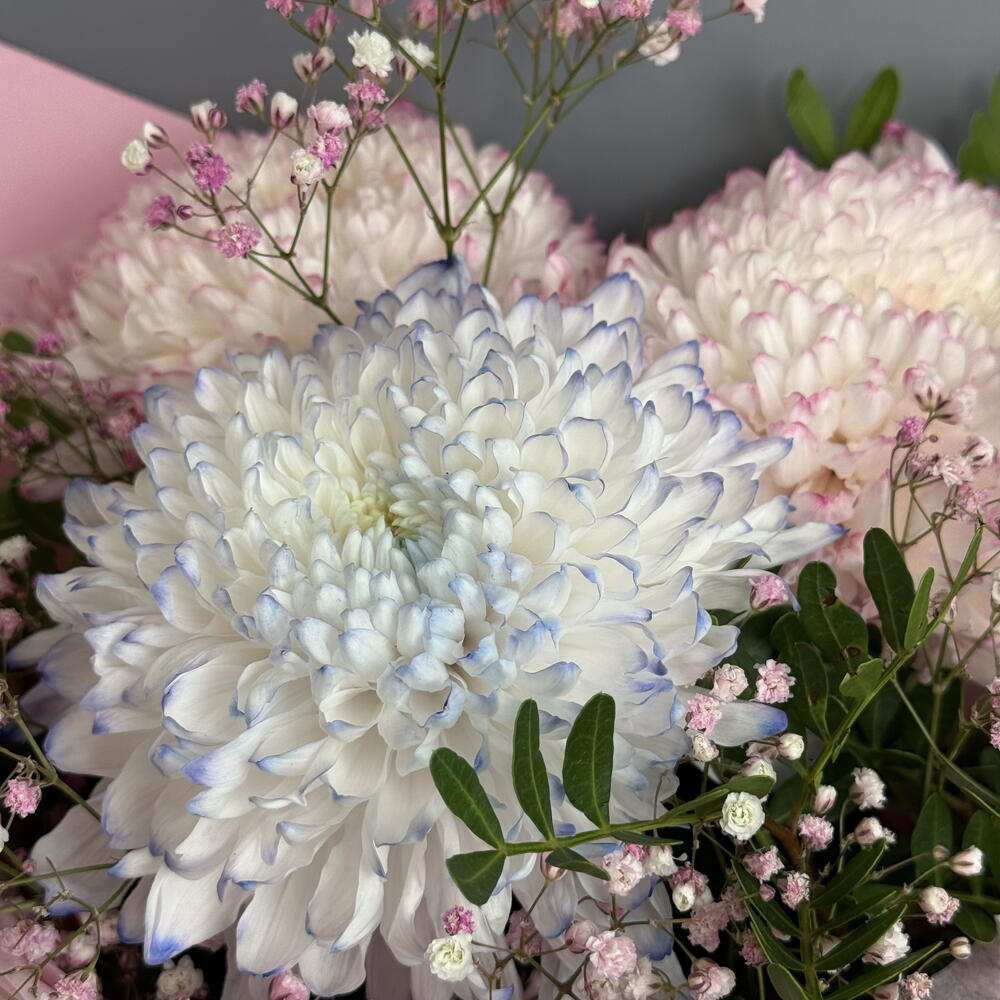 Букет-комплимент из воздушных хризантем и гипсофилы 💗💙🤍