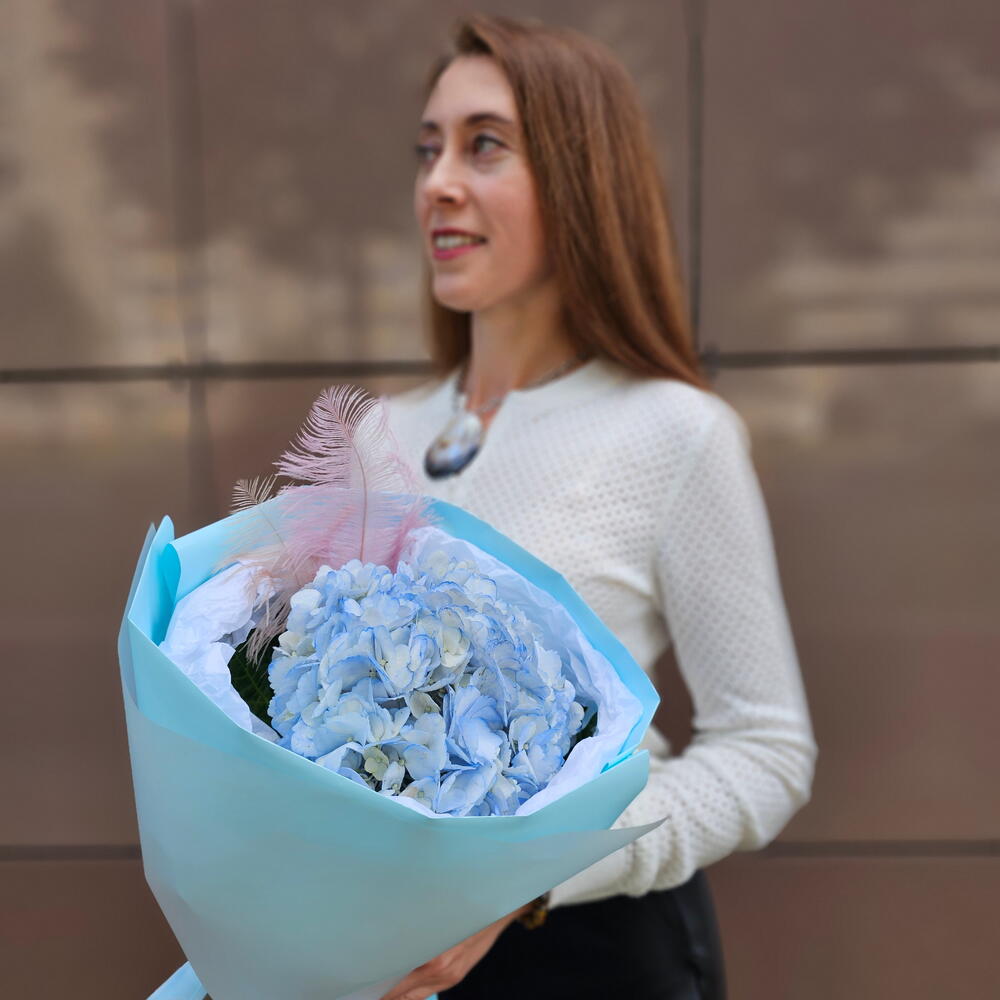 Комплимент Гортензия