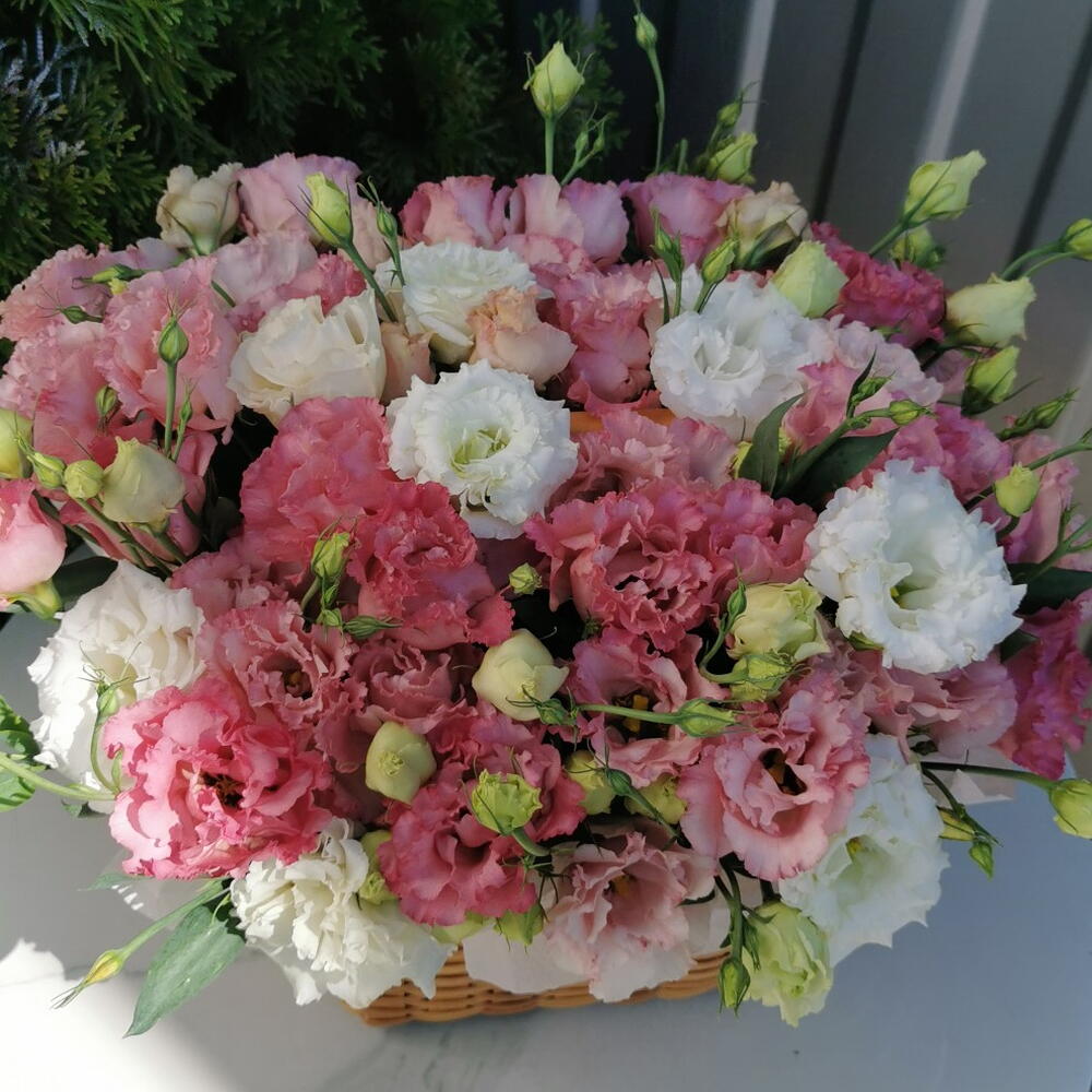 Корзина с эустомой🌸
