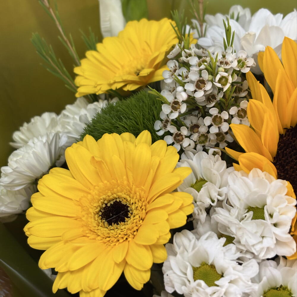 Поцелуй солнца🌻