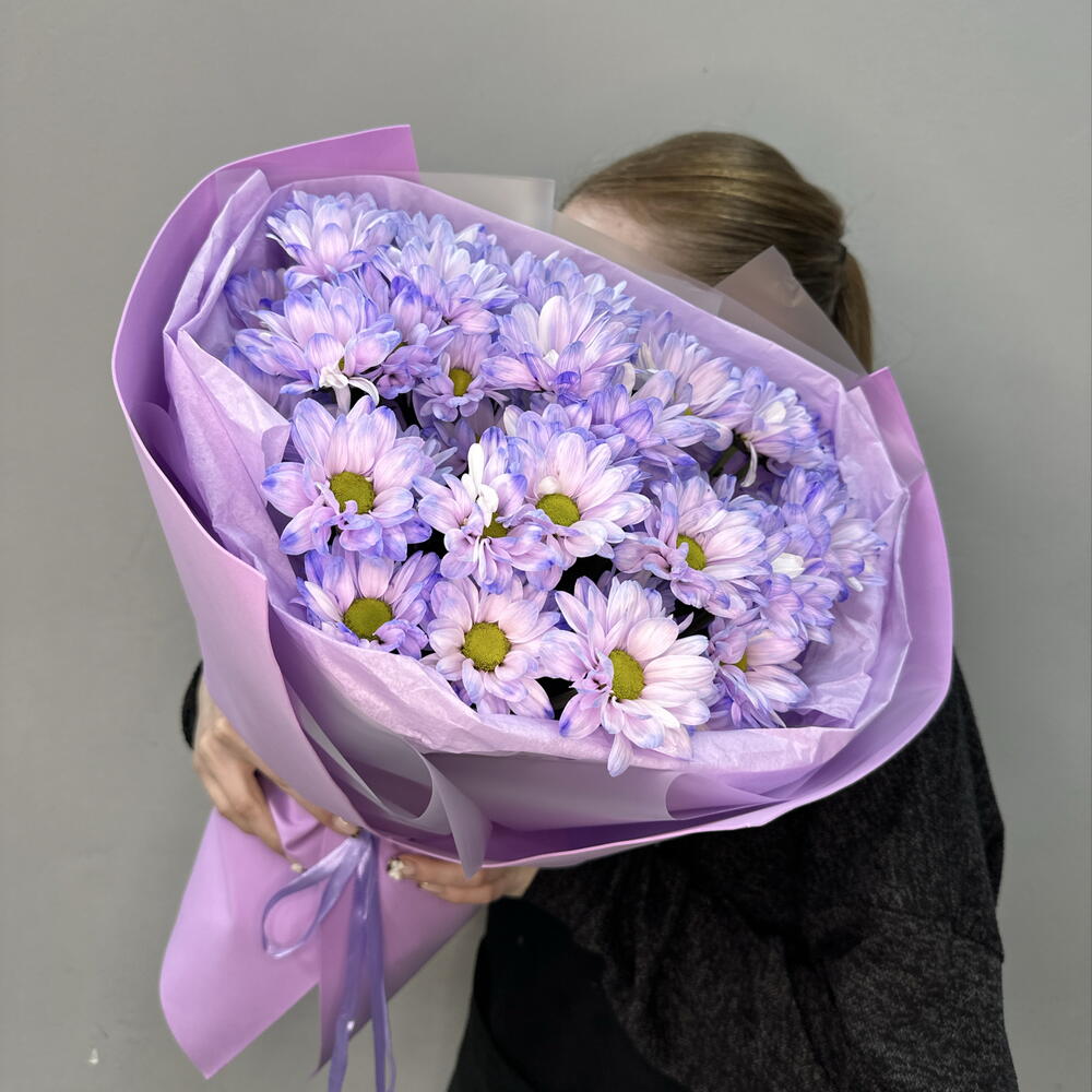 Сиреневые ромашки