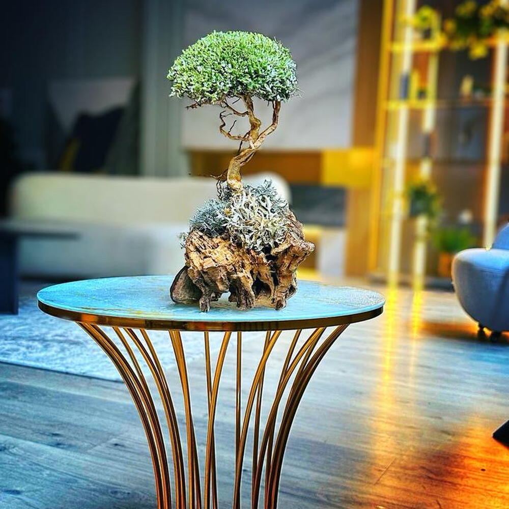 «Whisper of Alatau» — handmade decorative indoor tree by Cetraria