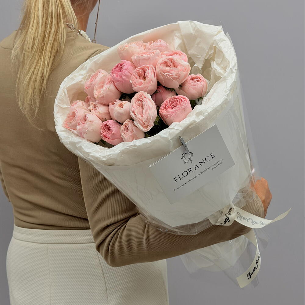 Пион роза « Softness»