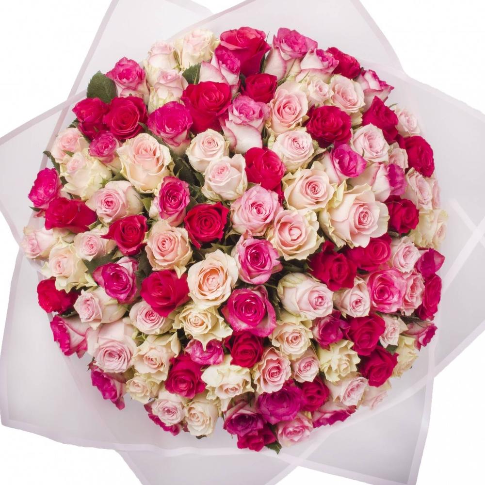 Купить Букет 101 Роза Саратов