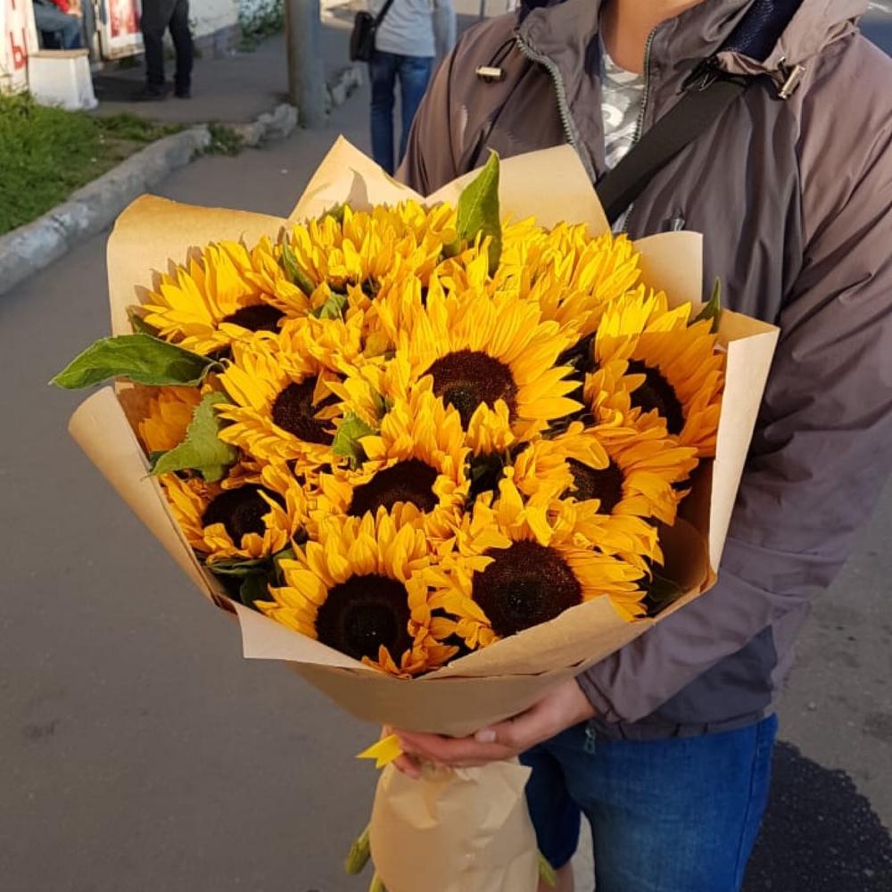 Подсолнух