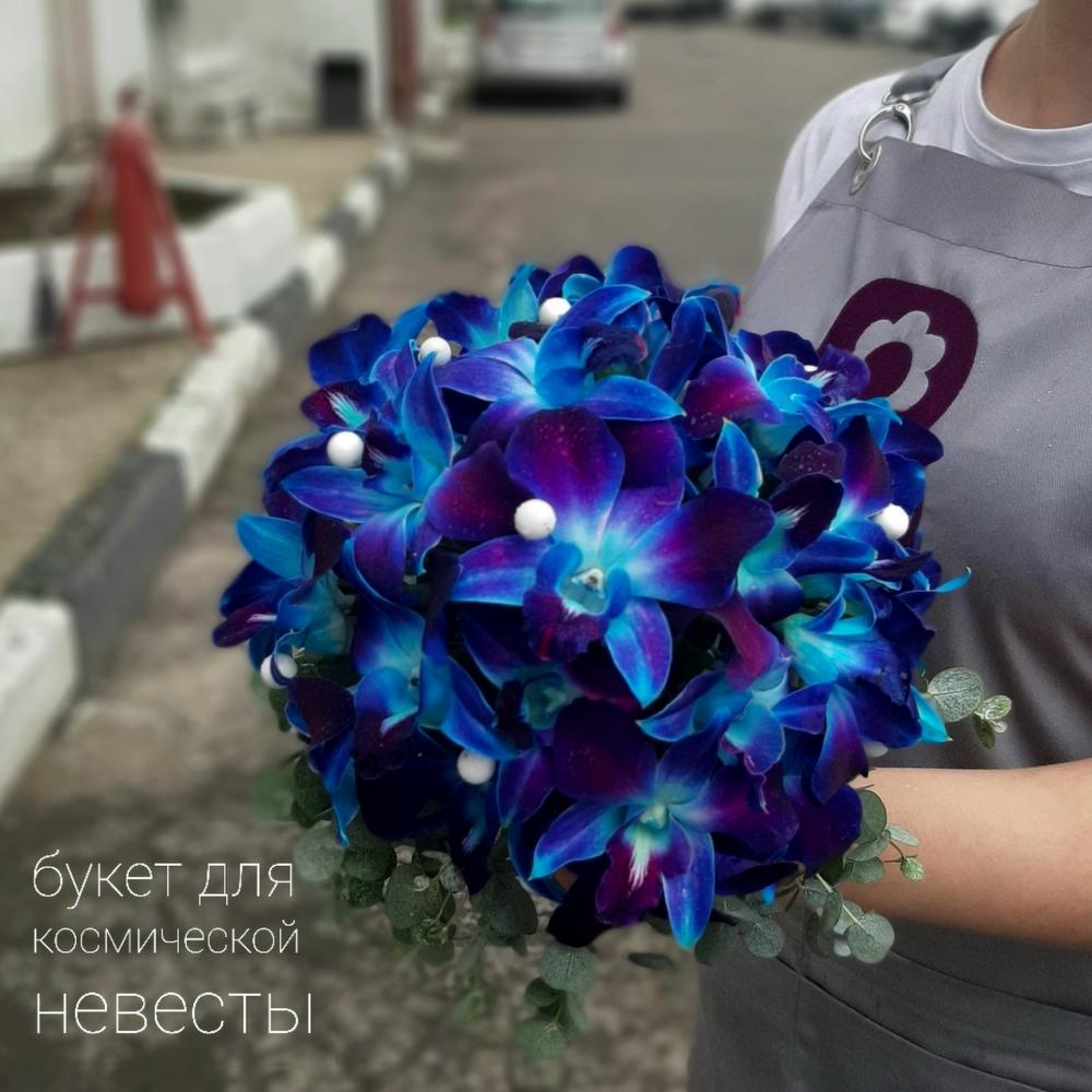 Космическая свадьба