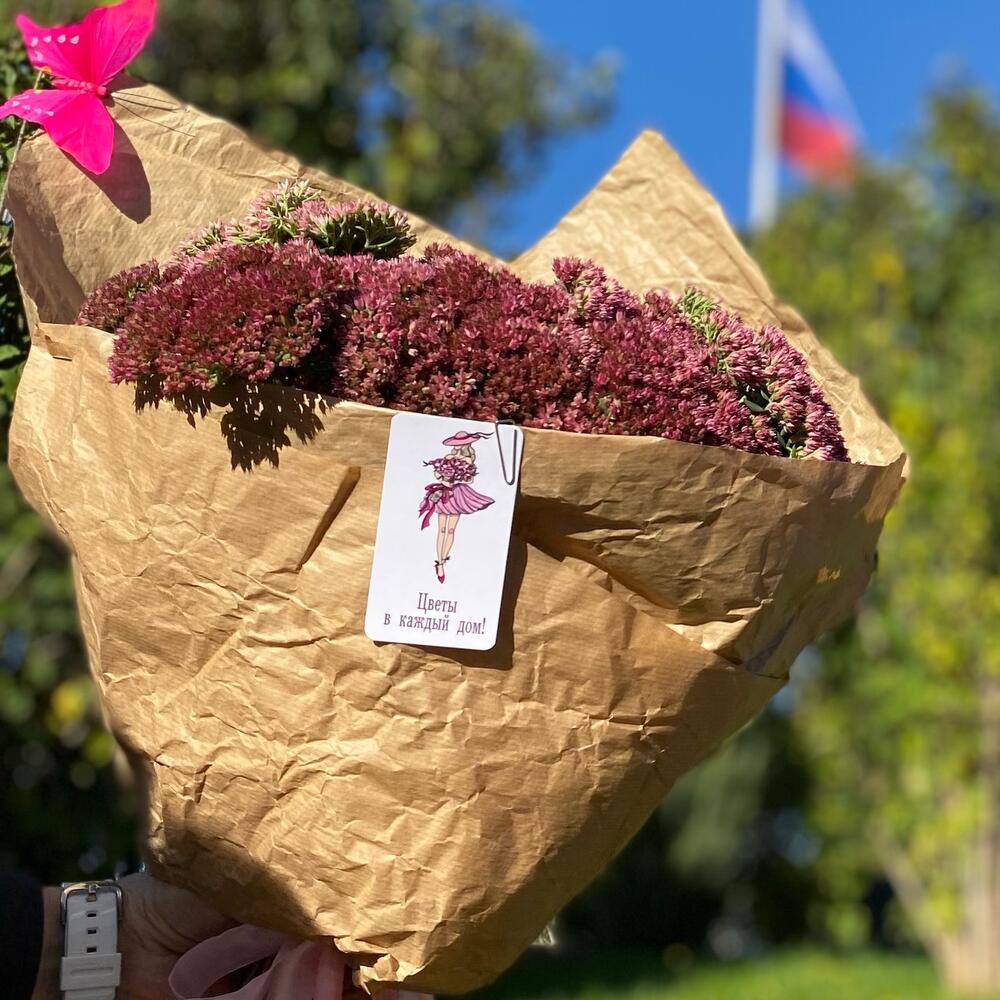 Сокулент Хилотелефиум