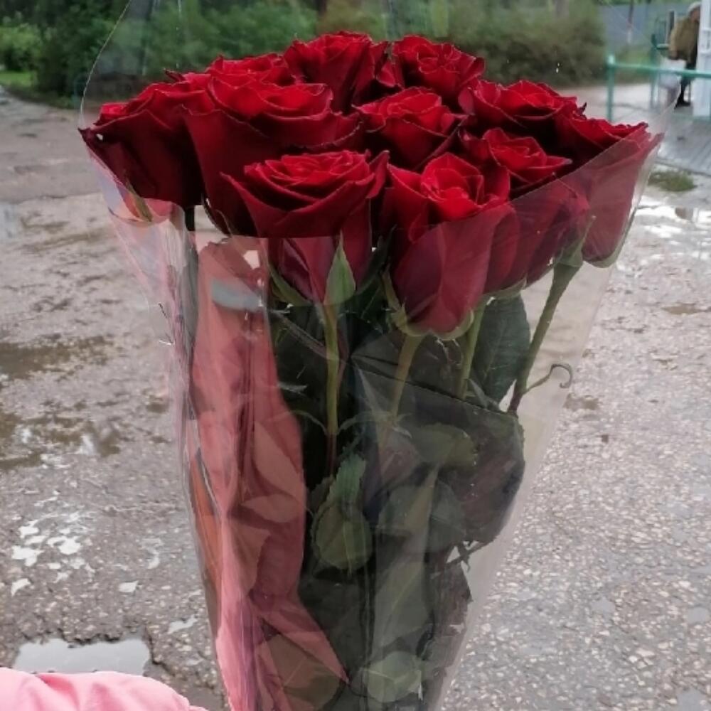 11роз Эквадор