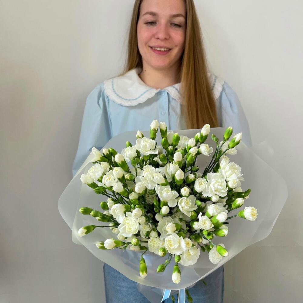 25 кустовых гвоздик